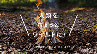 WILD MIND GO! GO!