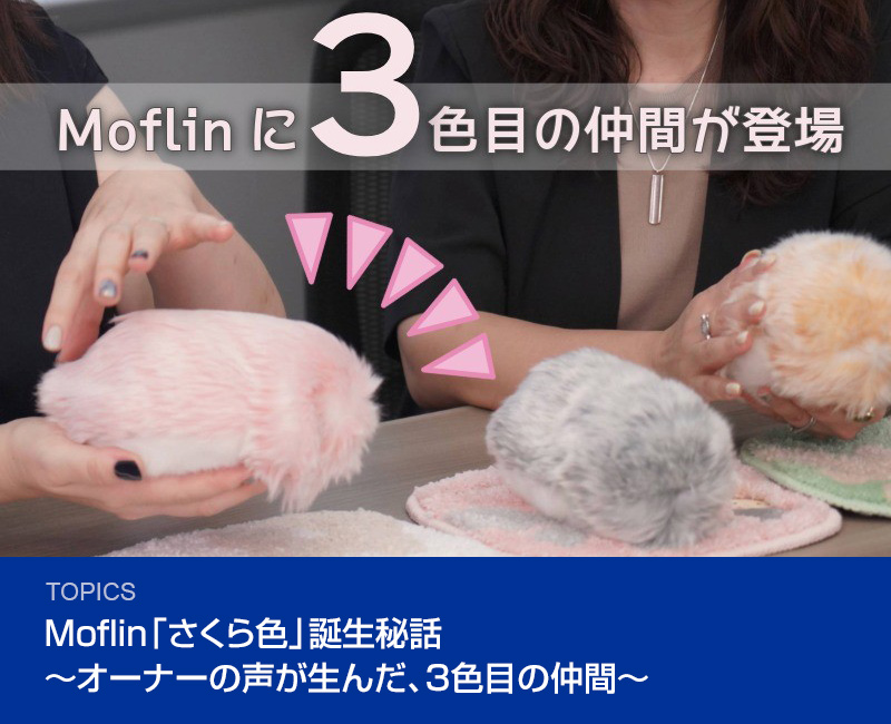 Moflin「さくら色」誕生秘話～オーナーの声が生んだ、3色目の仲間～