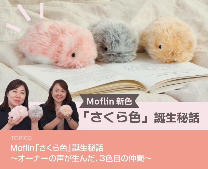 Moflin「さくら色」誕生秘話～オーナーの声が生んだ、3色目の仲間～