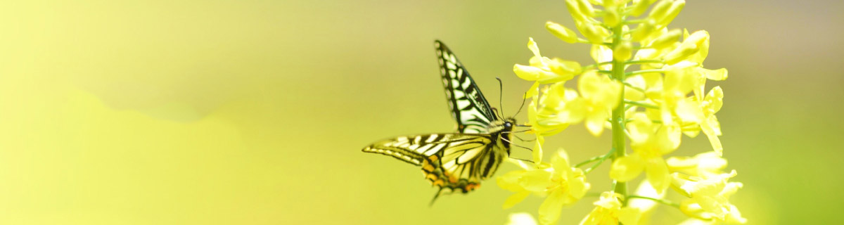 A_top_201102 A_top_201102