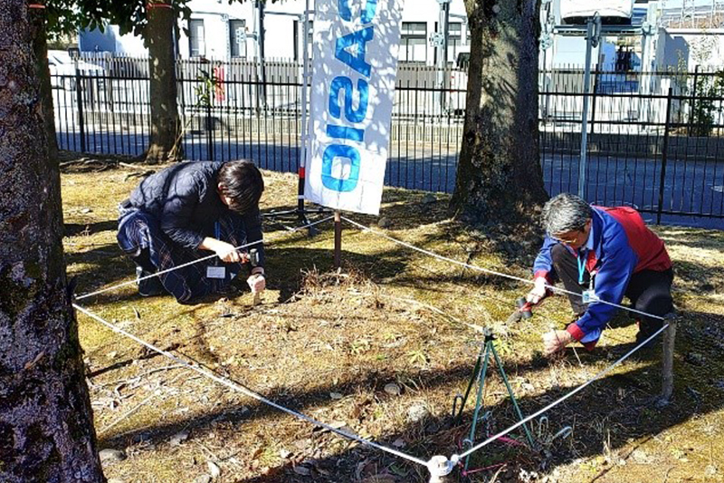 播種（種子スティックの埋設）している様子