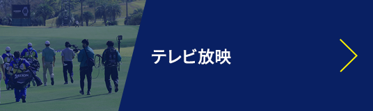 テレビ放映