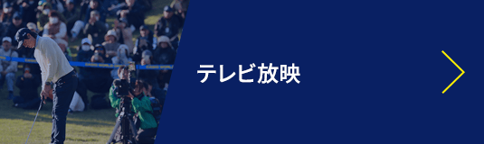 テレビ放映