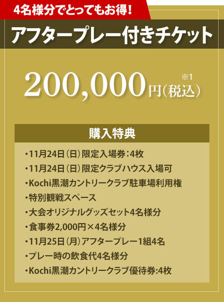【プレミアムチケット】アフタープレー付チケット