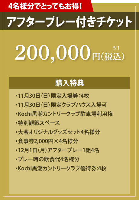 アフタープレー付きチケット