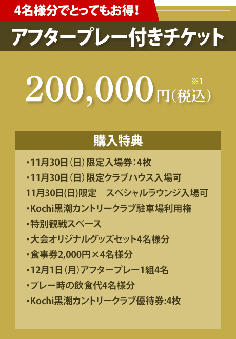 アフタープレー付きチケット