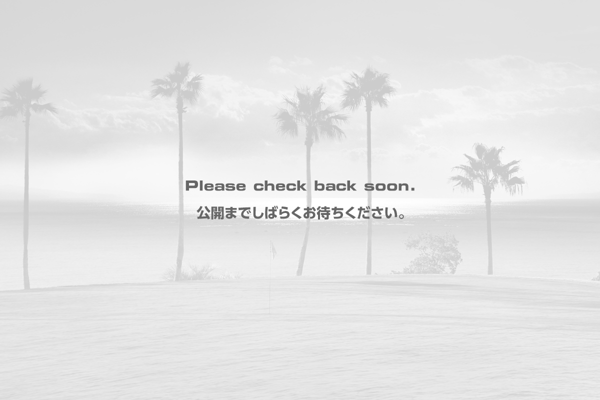 公開までしばらくお待ちください。