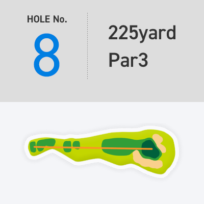 [HOLE No. 8] 225yard - Par3