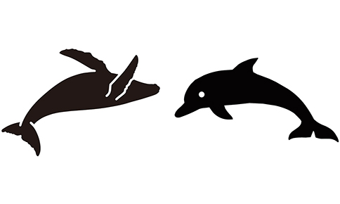 バックライト点灯時に現れるイラストクジラ（G-SHOCK）／イルカ（BABY-G）