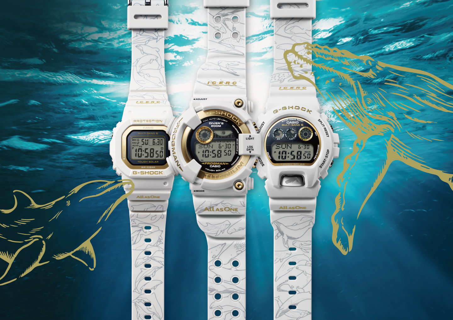 30頭のイルカやクジラをデザインした“G-SHOCK” | CASIO 30頭のイルカやクジラをデザインした“G-SHOCK” | CASIO