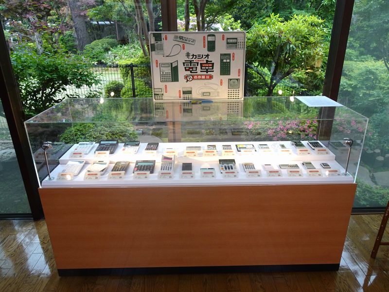 展示の様子