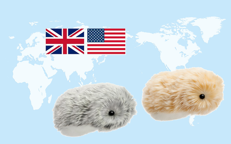 世界地図上にアメリカとイギリスの国旗。Moflinの写真