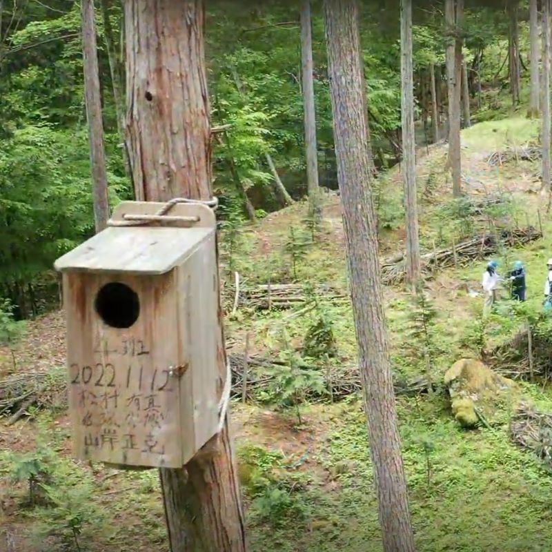 上空から巣箱を確認