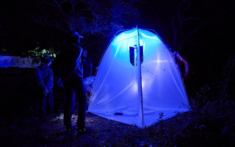 ライトアップされた網