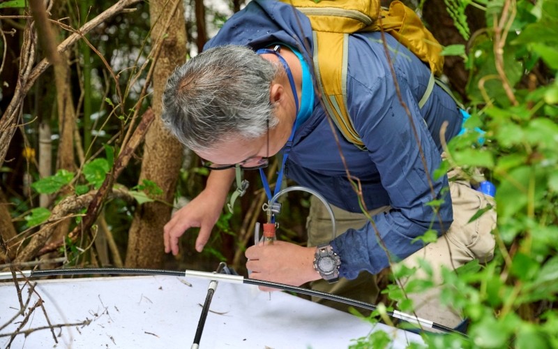 昆虫採集用吸虫管を使っている様子