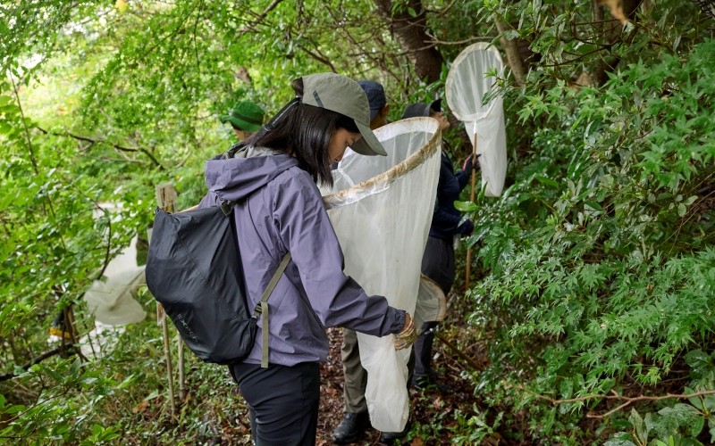 網の中を確認する様子