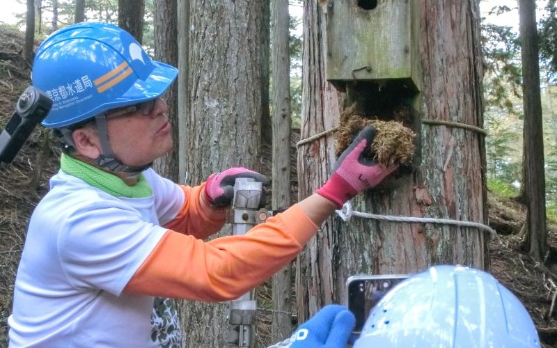 巣箱観察の様子