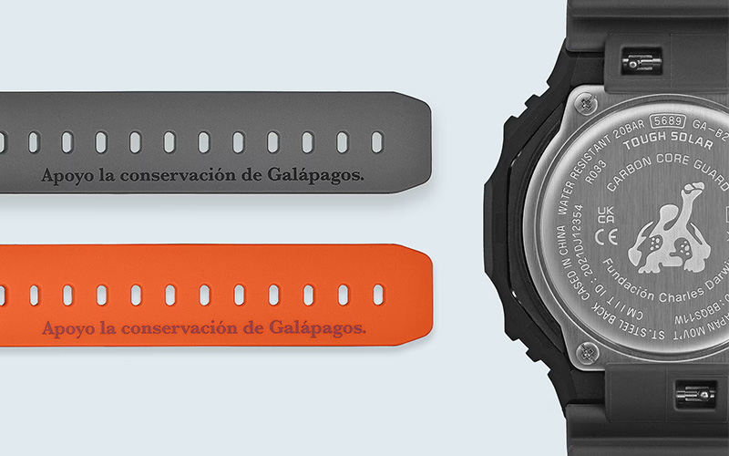 バンドと裏蓋の画像