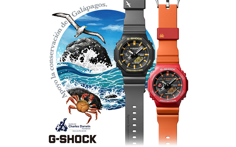 コラボレーションモデルのビジュアル