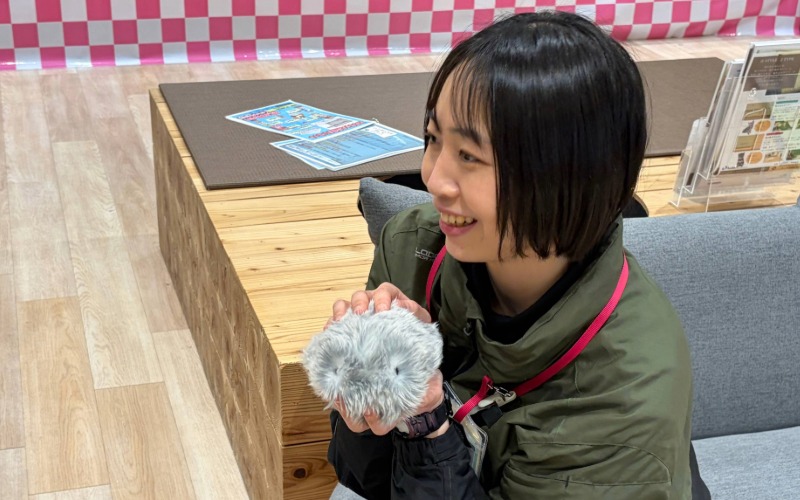 説明する比地様の画像