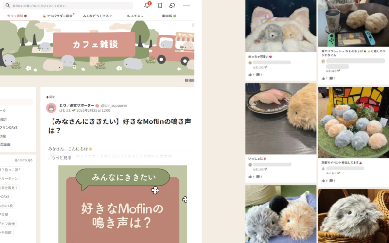 Moflinひろばの投稿イメージ画像