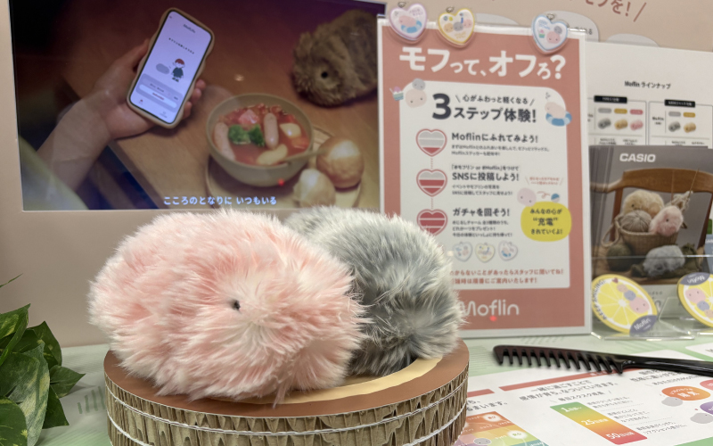 Moflinの画像