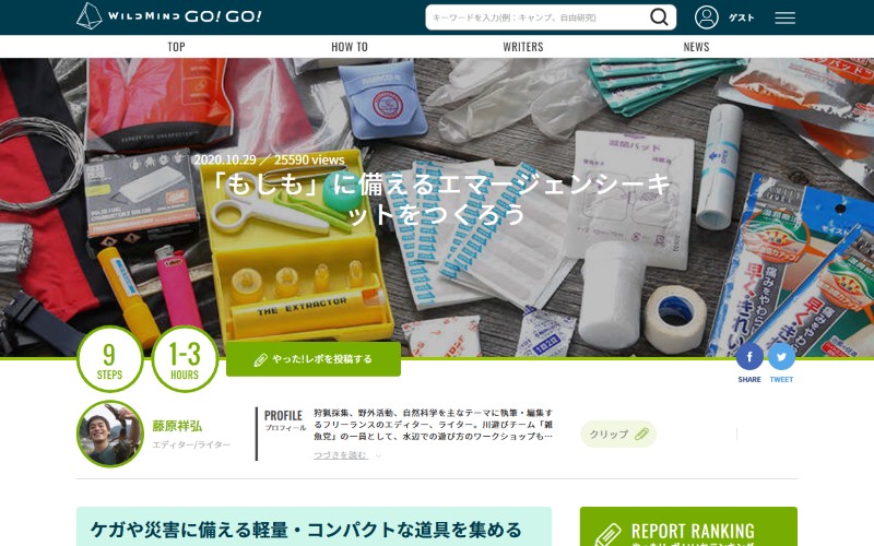 WILD MIND GO! GO!サイトの画面
