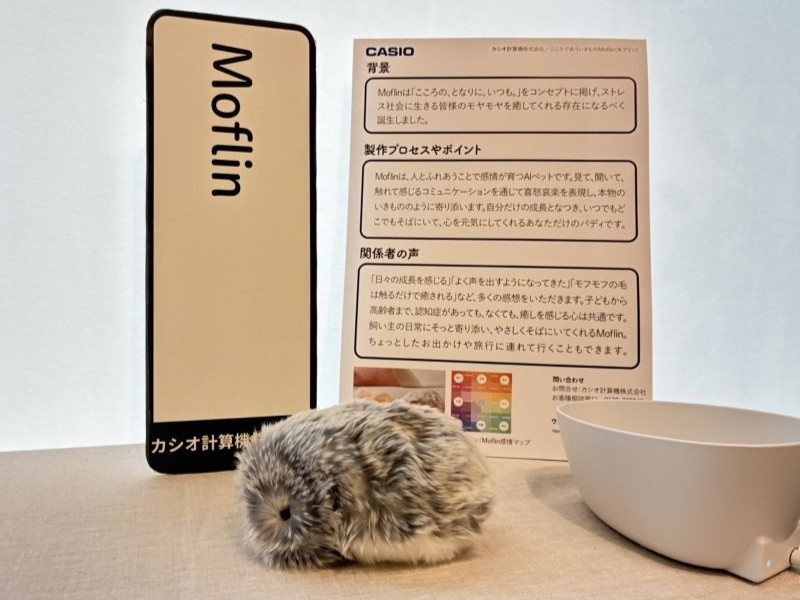 展示の様子