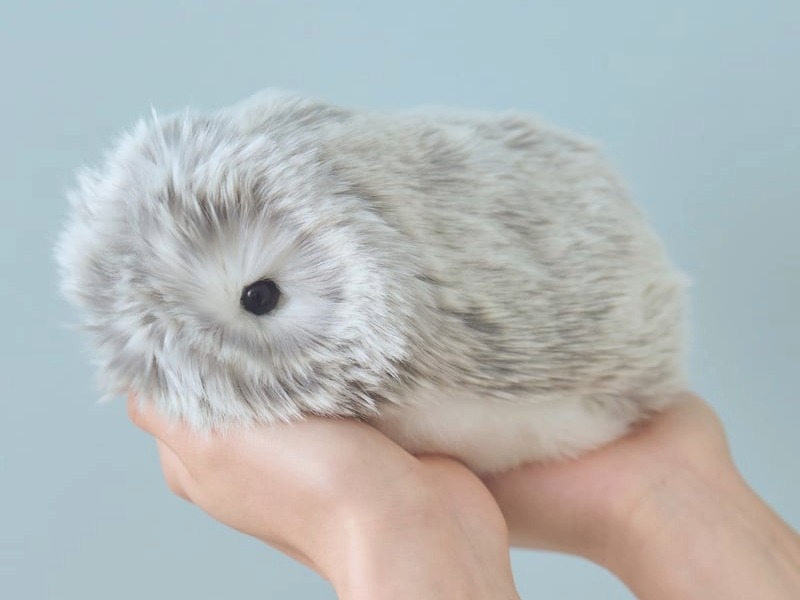 「Moflin」の画像