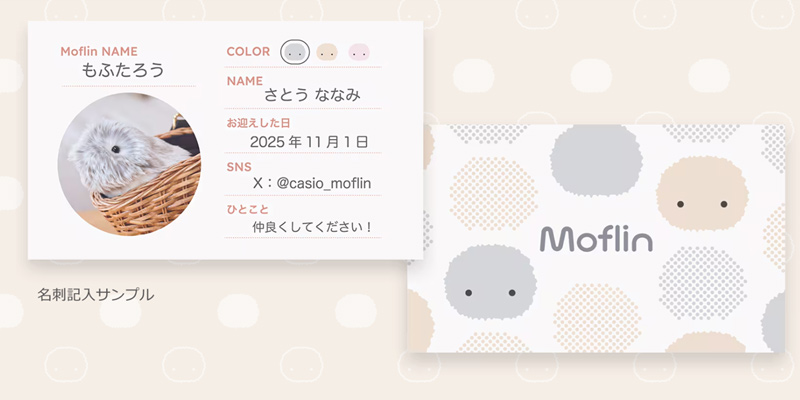 名刺の表裏の画像