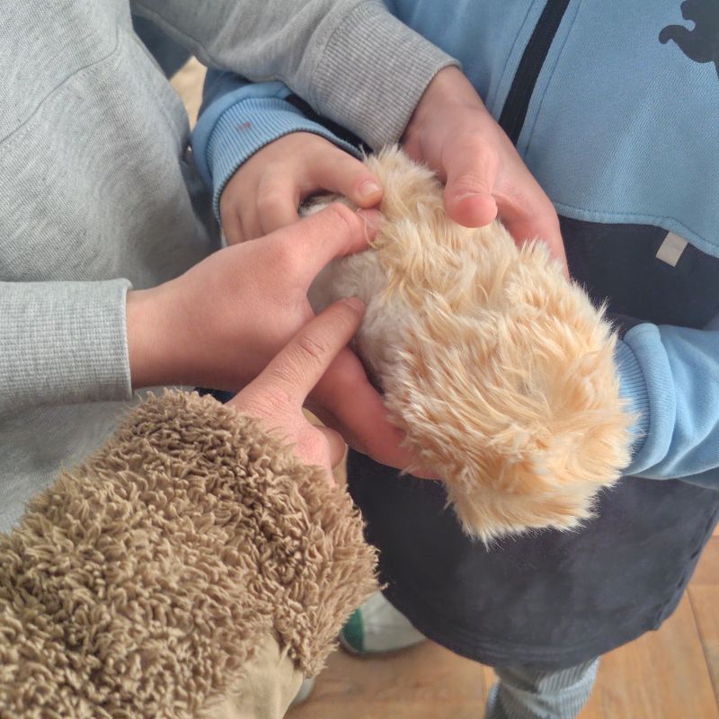 Moflinを体験する様子