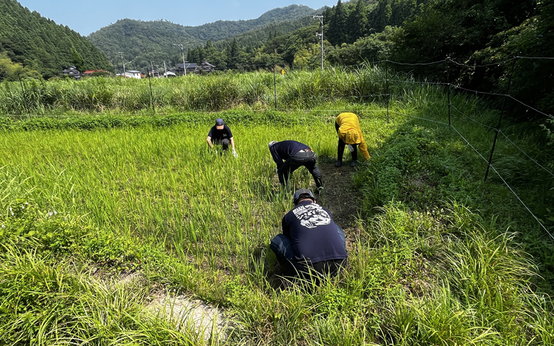 作業の様子