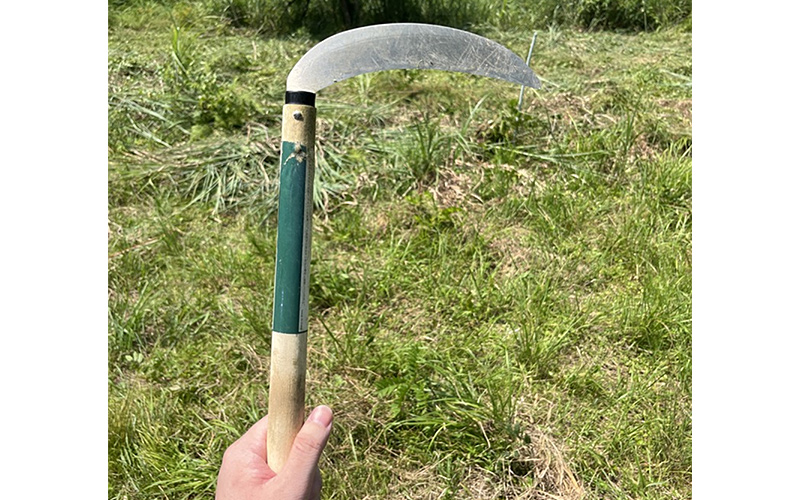 鎌の画像
